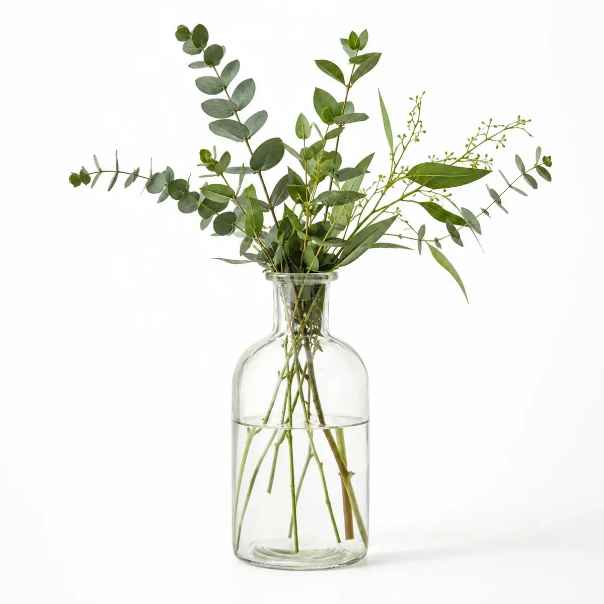 A clear glass bottle vase filled with water and fresh green eucalyptus stems, photographed against a clean white background.