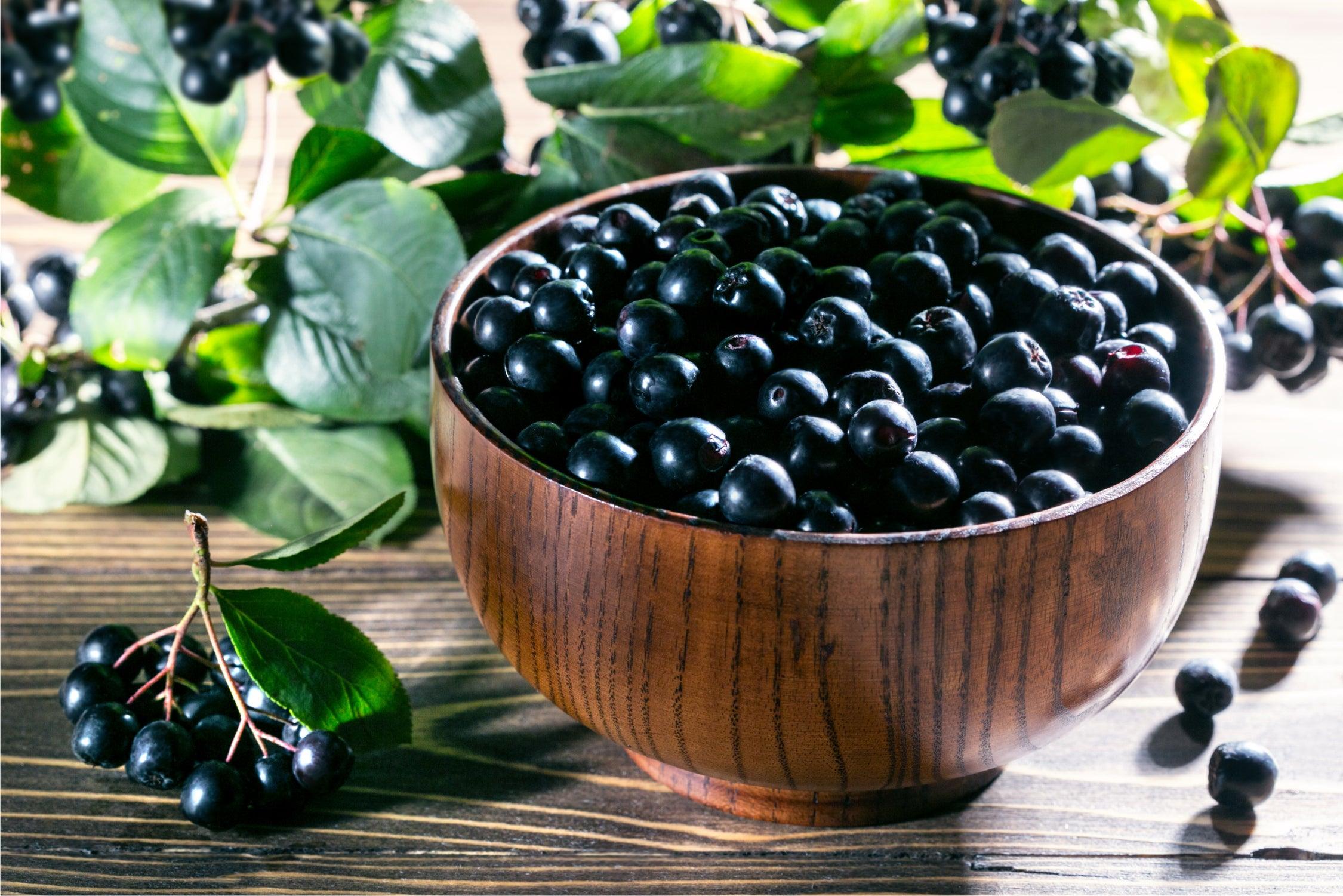 Benefits of Black Chokeberry - My Beauty Luv